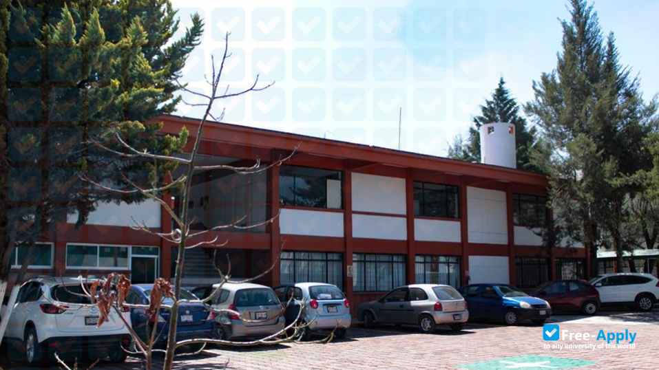 Universtiy of Puebla photo #6