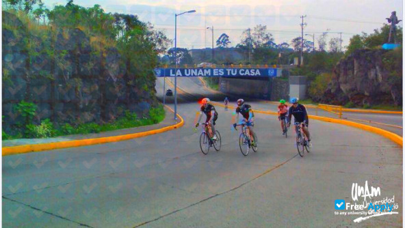 The National Autonomous University of Mexico photo #2