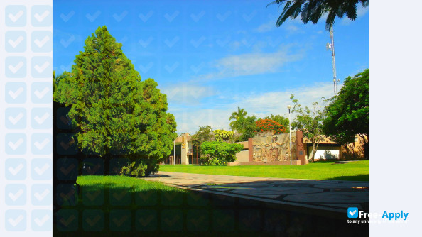 Photo de l’University of Colima #2