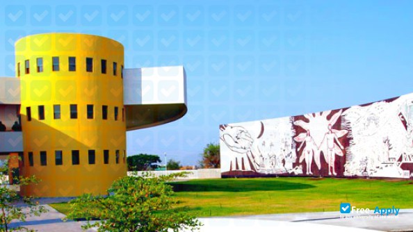 Photo de l’University of Colima #8