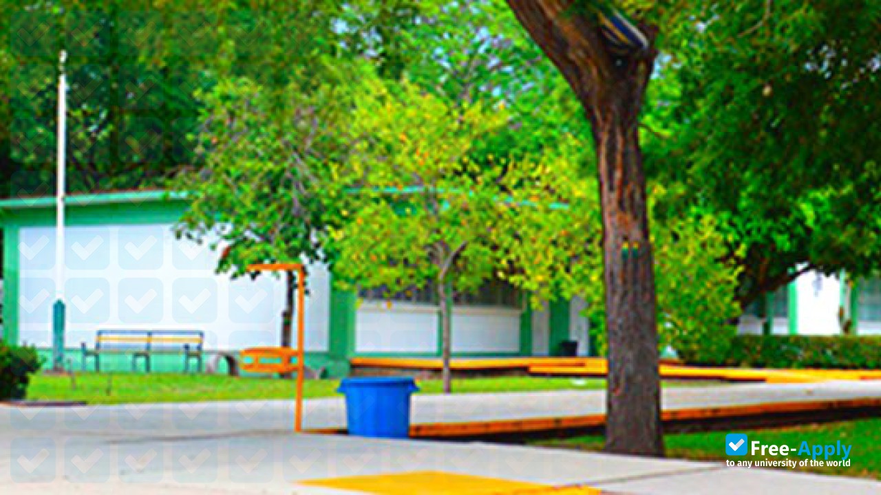 Photo de l’University of Colima #5