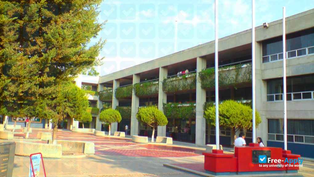 University Panamericana México photo #2