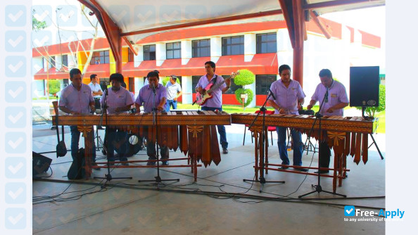 Superior Technological Institute of Cintalapa photo