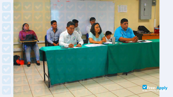 Technological Institute of Altamirano photo #9