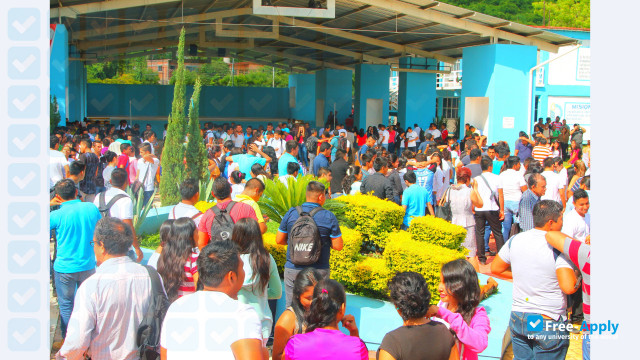 Technological Institute of Altamirano photo #1