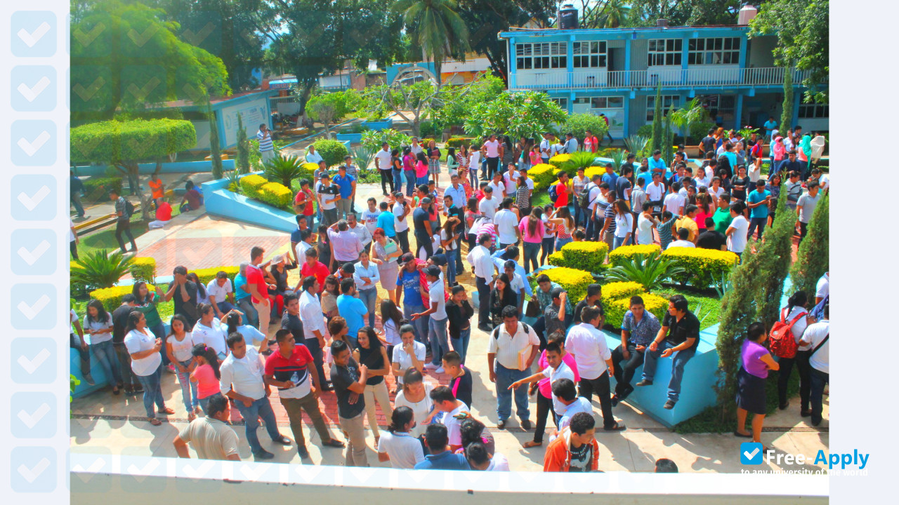 Technological Institute of Altamirano photo #2