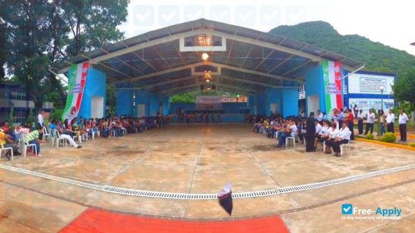 Technological Institute of Altamirano photo #11