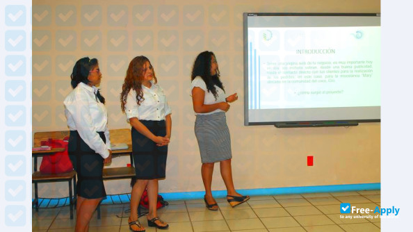 Technological Institute of Altamirano photo #10