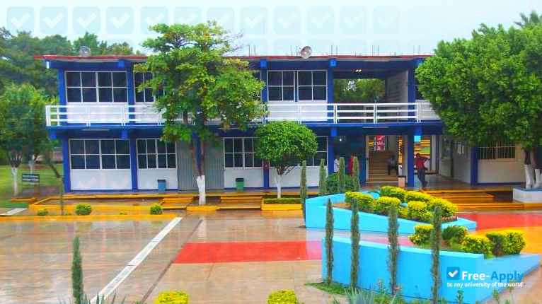 Technological Institute of Altamirano photo