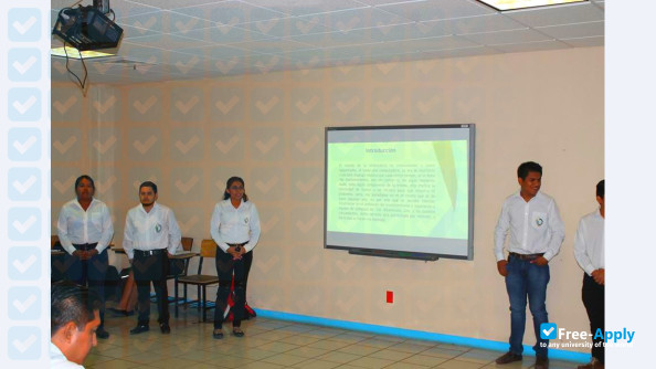 Technological Institute of Altamirano photo #11