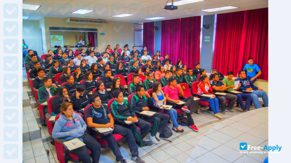 Superior Technological Institute of Constitucion photo #3