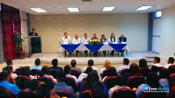 Superior Technological Institute of Constitucion photo #12