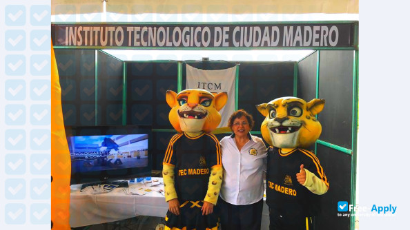 Technological Institute of Madero photo
