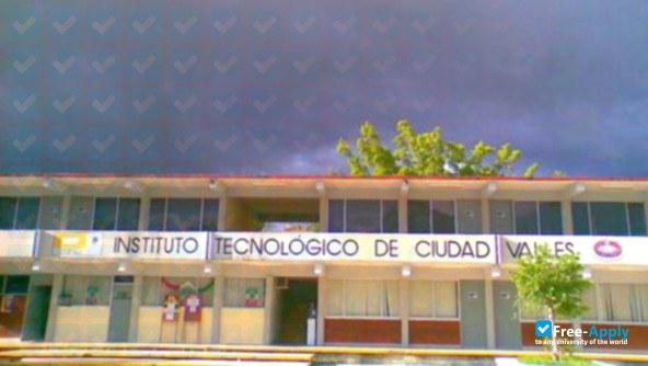 Technological Institute of Valles photo #5