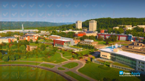 Itaca University photo