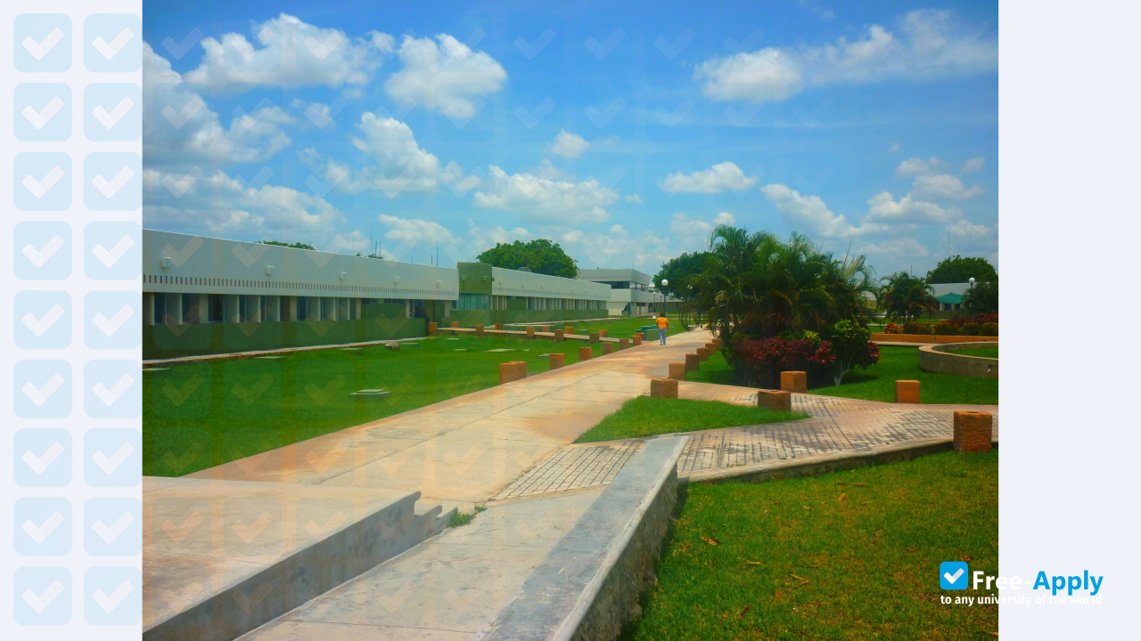 Photo de l’Metropolitan Technological University #4