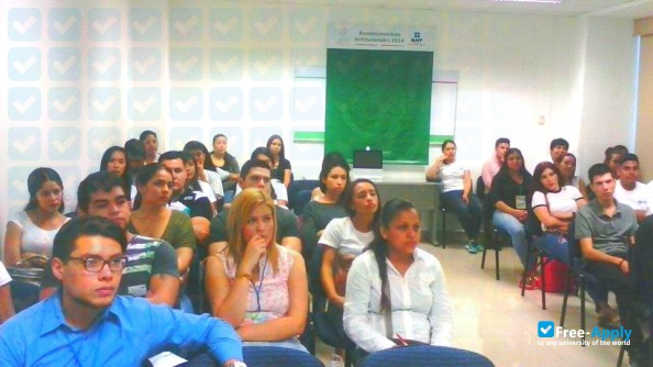 University of Veracruz UNIVER Colima photo #4