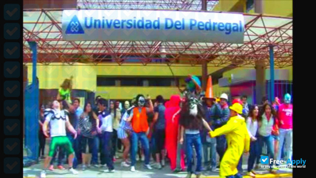 Universidad del Pedregal фотография №1