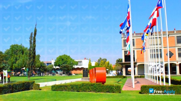 University of the Americas Puebla фотография №7