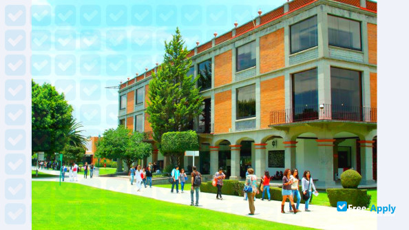 University of the Americas Puebla фотография №6