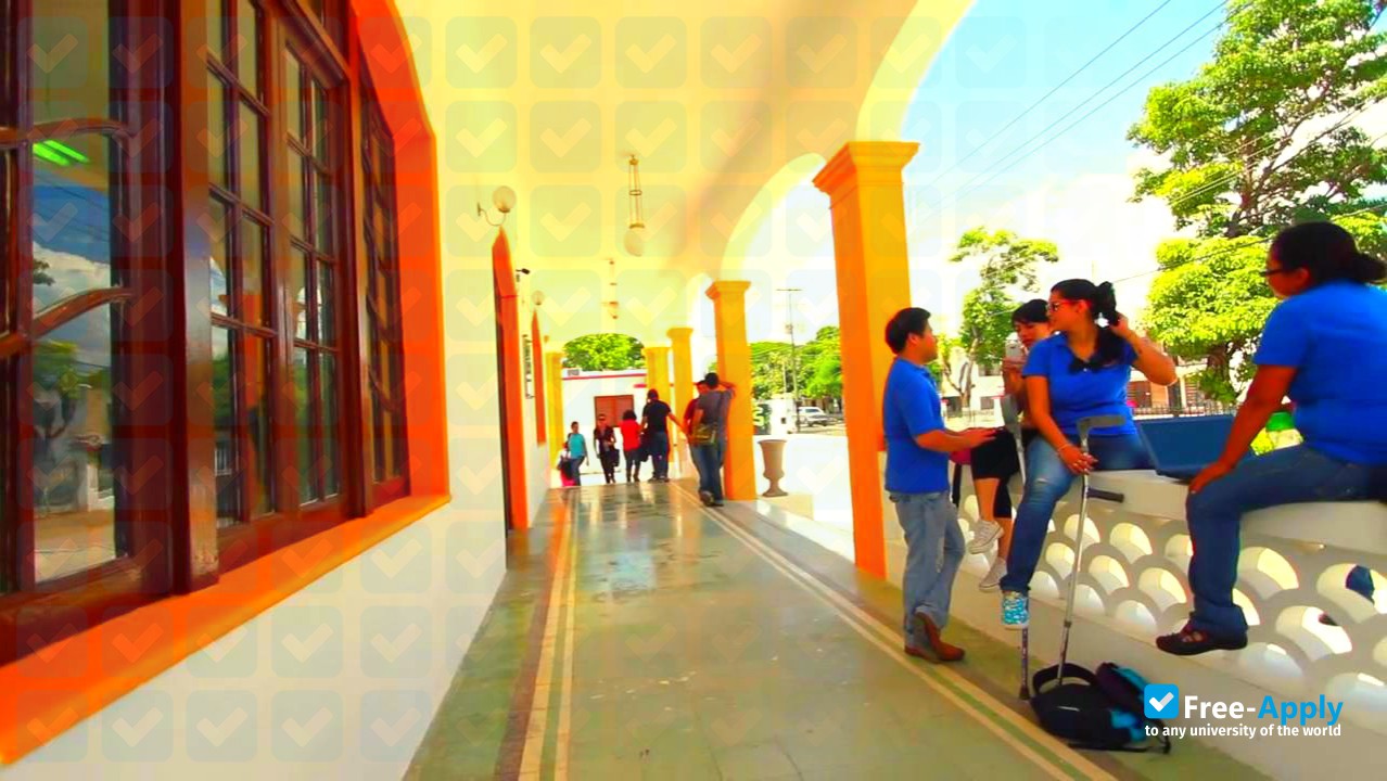 Universidad del Sur photo #4