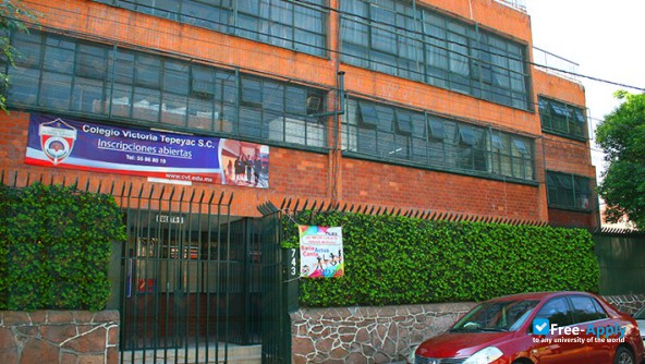 Tous lindavista outlet