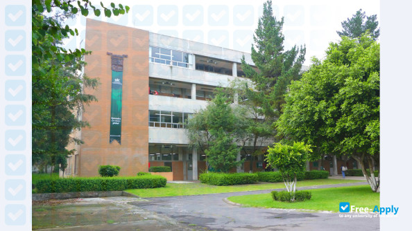 Universidad Intercontinental photo #5