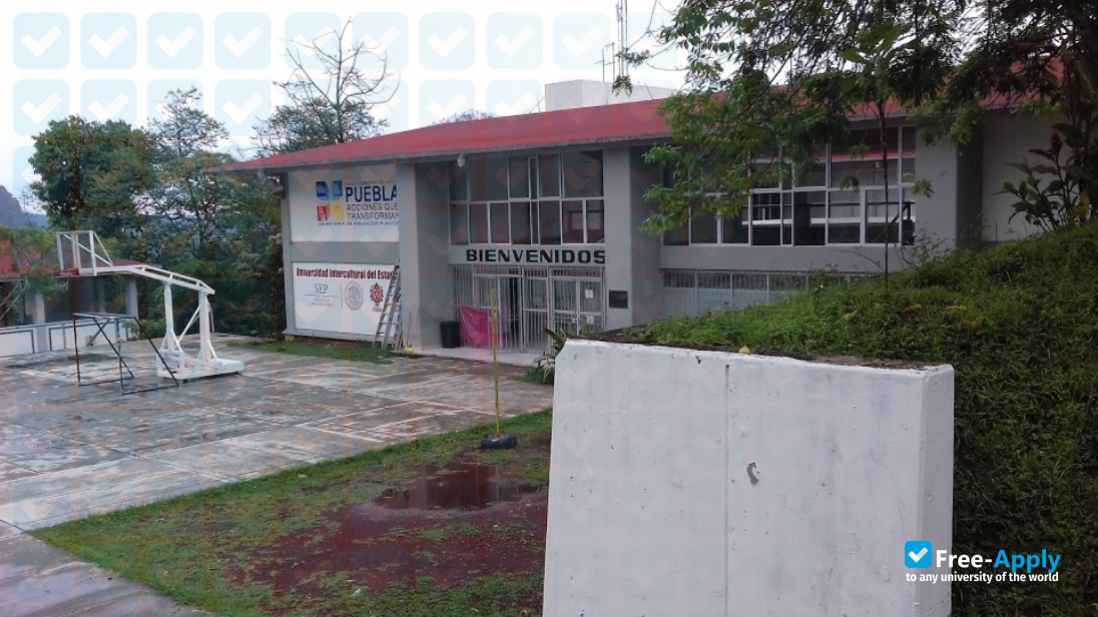 Universidad Intercultural del Estado de Puebla фотография №1