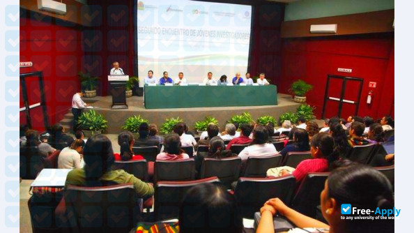 Universidad Intercultural Maya de Quintana Roo photo #2