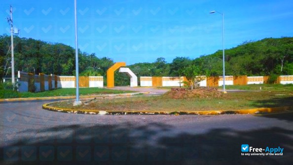 Universidad Intercultural Maya de Quintana Roo фотография №1