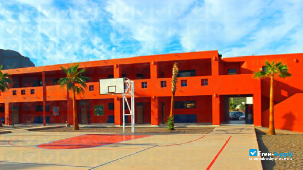 Photo de l’Latin American University #3