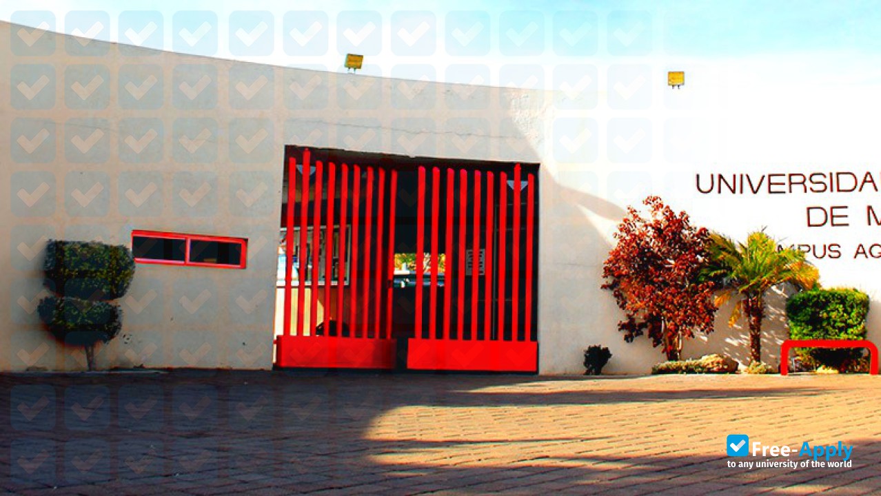 Foto de la Universidad del Valle de México #5