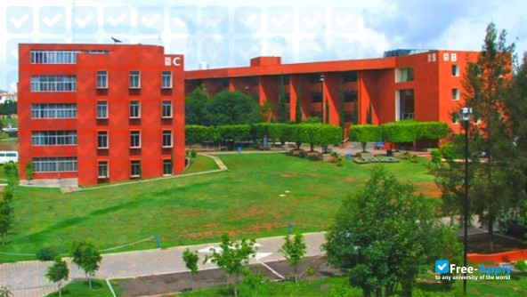 Basque University of Quiroga photo #5