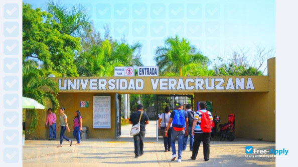 Veracruz University photo #5