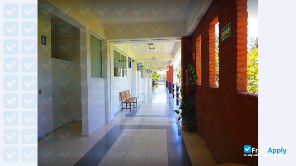 Marist University of Queretaro photo #3