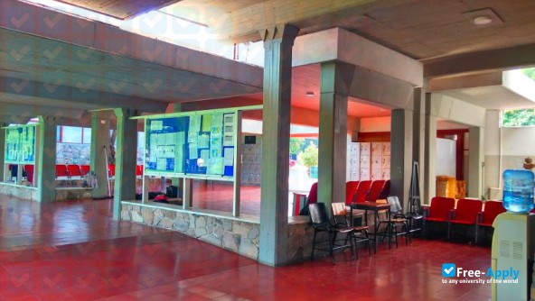University Marista Guadalajara фотография №5