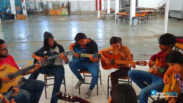 University Marista Guadalajara фотография №7