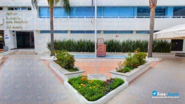 University of the Valley of Puebla photo #7