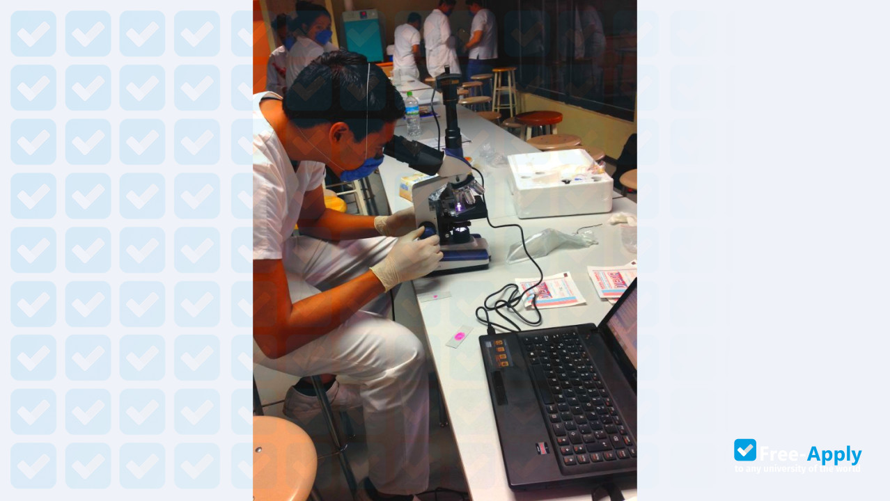 Photo de l’University Mexico of North America #4