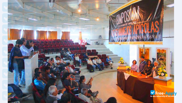 Autonomous University of Queretaro photo #3