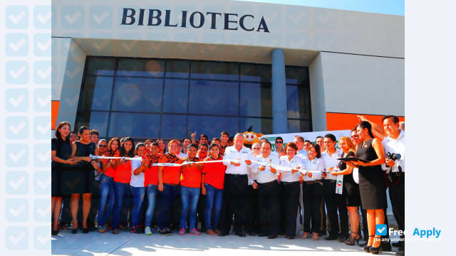Polytechnical Uni of Altamira photo #1