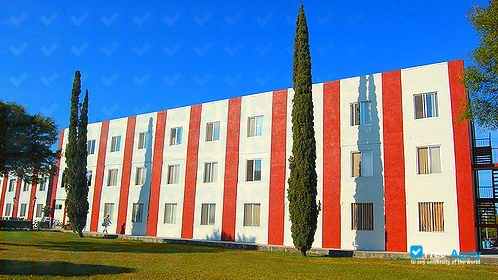 University of Montemorelos фотография №2