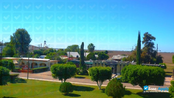 University of Navojoa photo #2