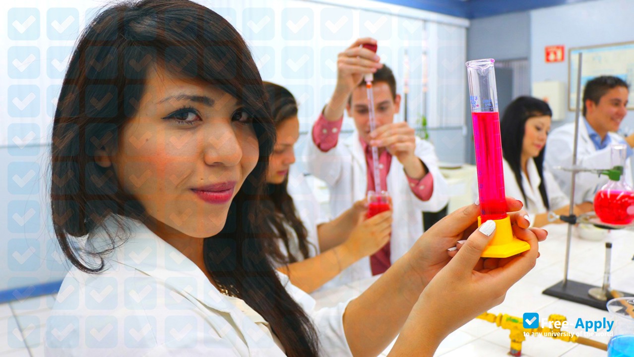 University Center for Higher Education Beautiful Province photo #6