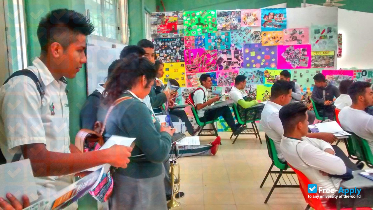 Foto de la University Center of Hidalgo #4