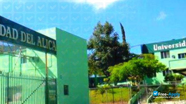 University of Alica фотография №6