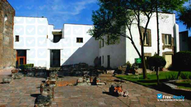 Foto de la University of the Cloister of Sor Juana #4