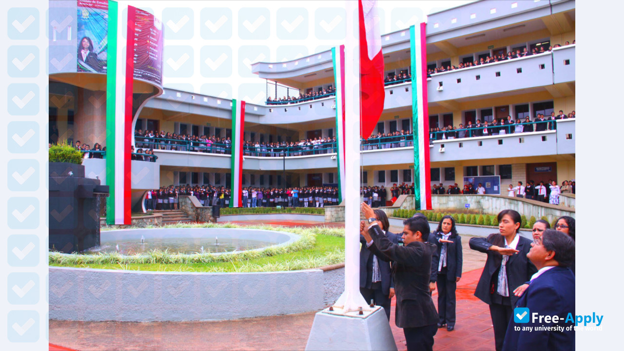 Foto de la University of the Gulf of Mexico #4