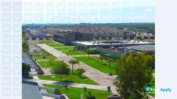 Technical University of Torreón photo #8