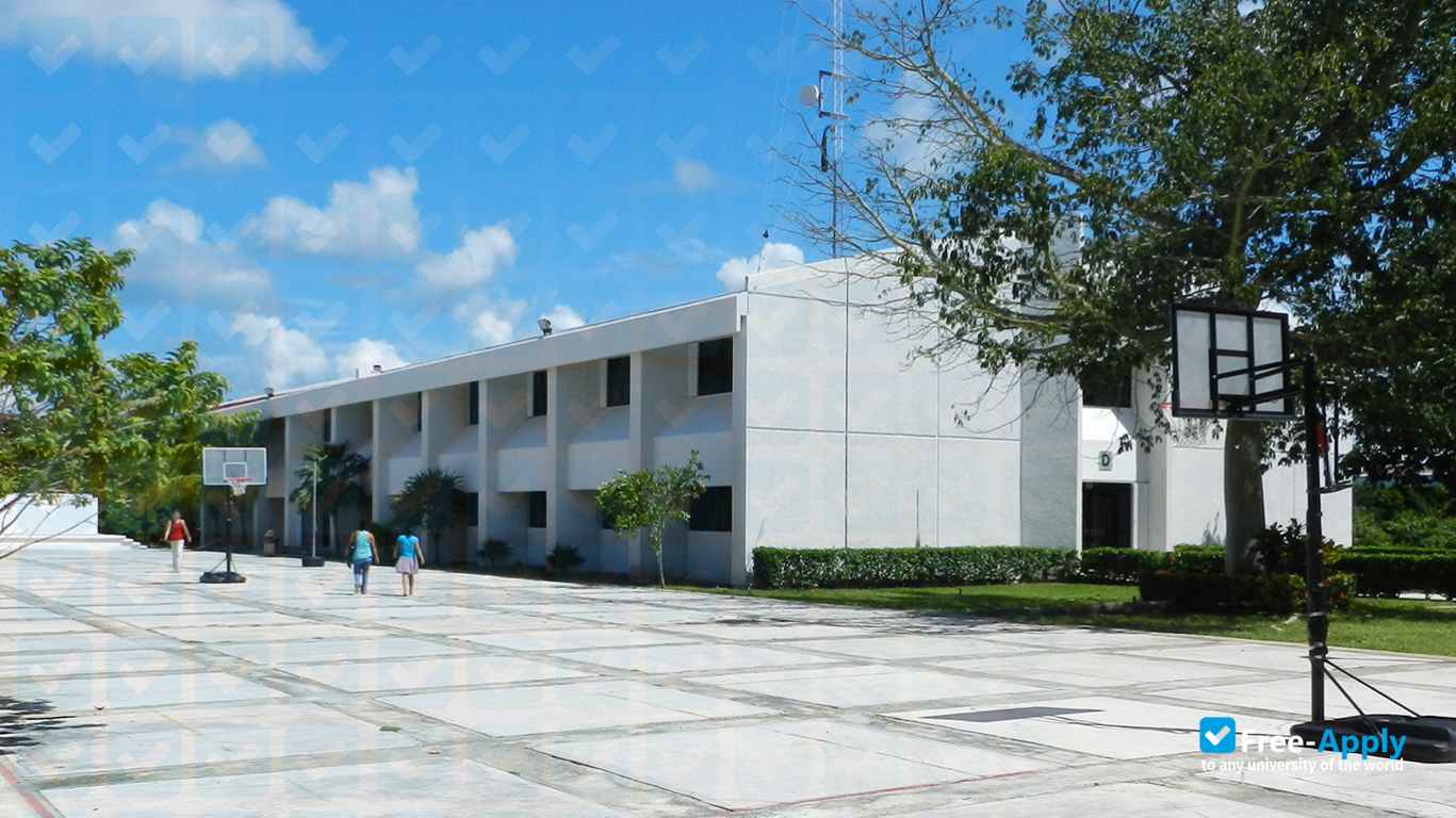 Technological University of the Mayan Riviera photo